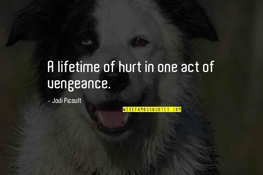 One In A Lifetime Quotes By Jodi Picoult: A lifetime of hurt in one act of