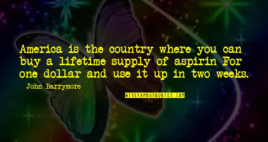 One In A Lifetime Quotes By John Barrymore: America is the country where you can buy