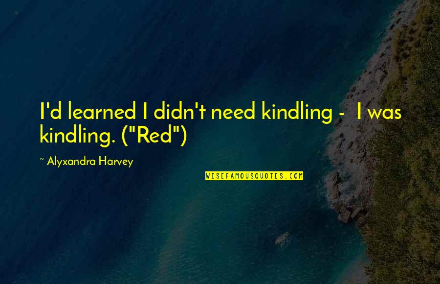One In A Million Chances Quotes By Alyxandra Harvey: I'd learned I didn't need kindling - I