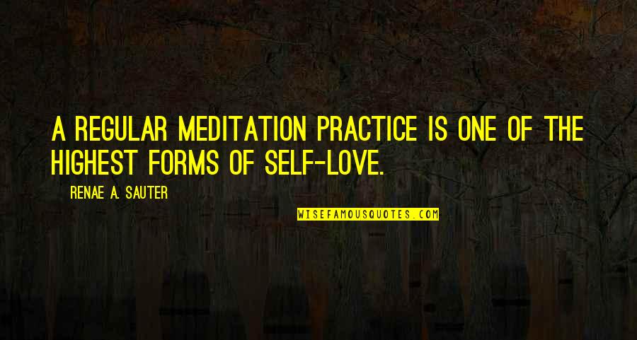 One Inspirational Quotes By Renae A. Sauter: A regular meditation practice is one of the