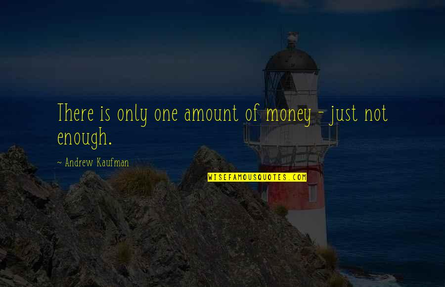 One Is Not Enough Quotes By Andrew Kaufman: There is only one amount of money -
