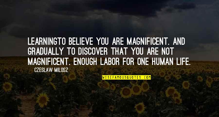 One Life's Enough Quotes By Czeslaw Milosz: LearningTo believe you are magnificent. And gradually to