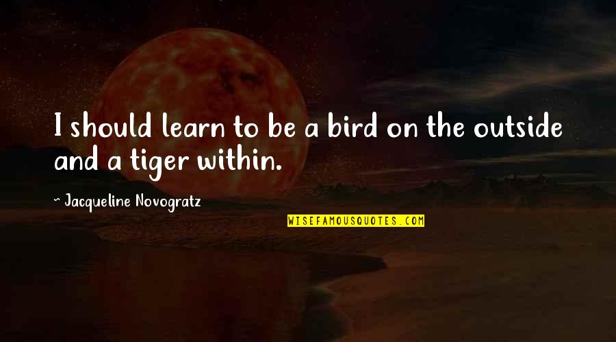 One Line Jesus Quotes By Jacqueline Novogratz: I should learn to be a bird on