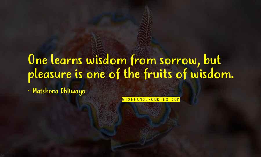 One Mans Is Another Mans Treasure Quotes By Matshona Dhliwayo: One learns wisdom from sorrow, but pleasure is