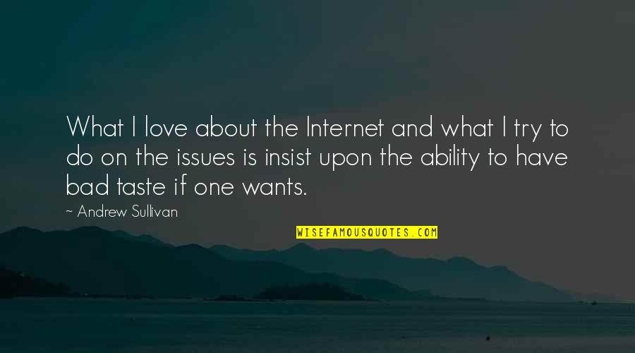 One More Try Love Quotes By Andrew Sullivan: What I love about the Internet and what