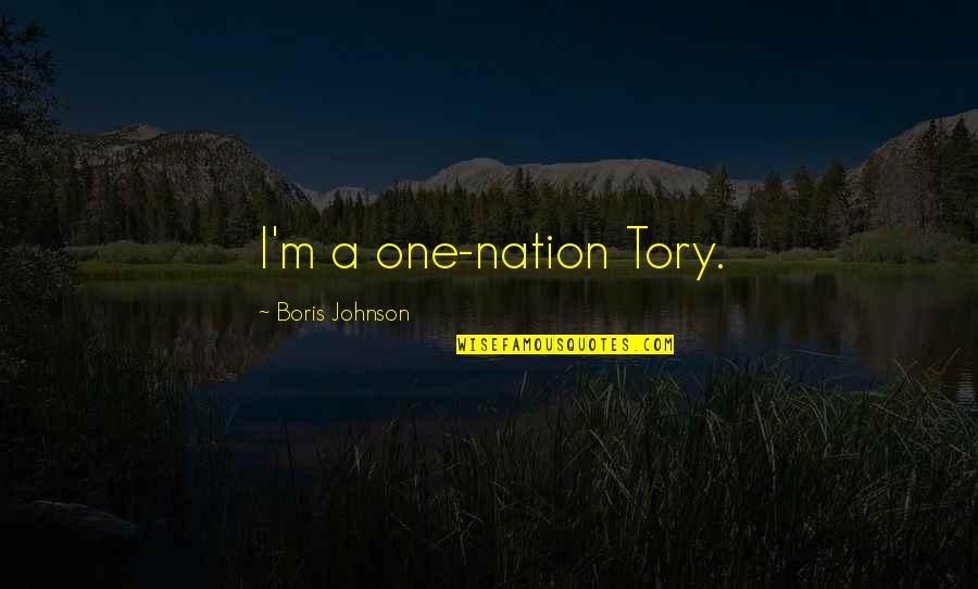 One Nation Quotes By Boris Johnson: I'm a one-nation Tory. One Nation Quotes By Boris Johnson: I'm a one-nation Tory.