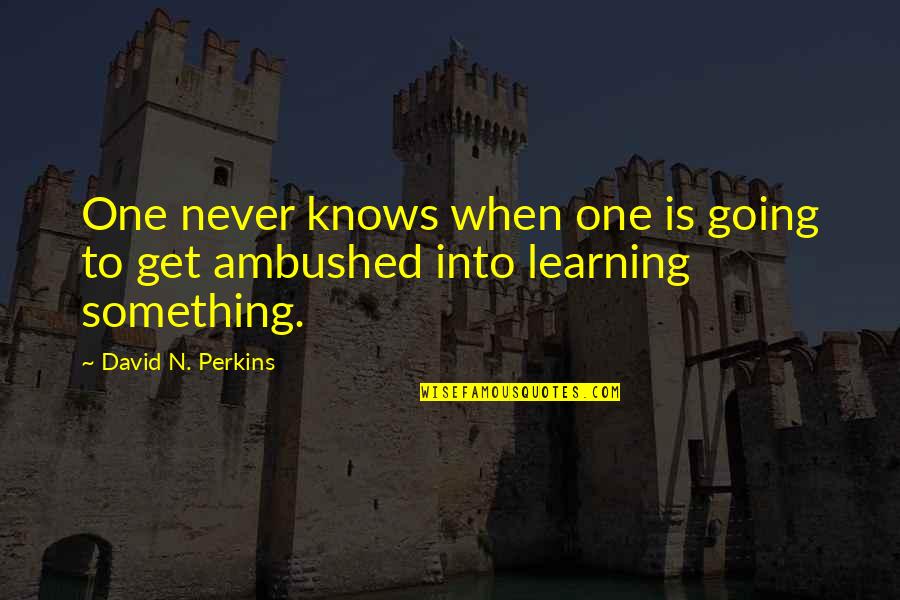 One Never Knows Quotes By David N. Perkins: One never knows when one is going to