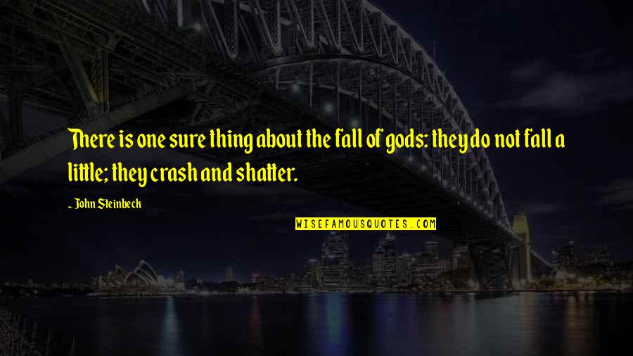 One Of Gods Quotes By John Steinbeck: There is one sure thing about the fall