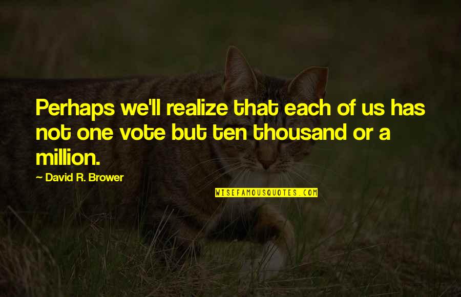 One Of Million Quotes By David R. Brower: Perhaps we'll realize that each of us has