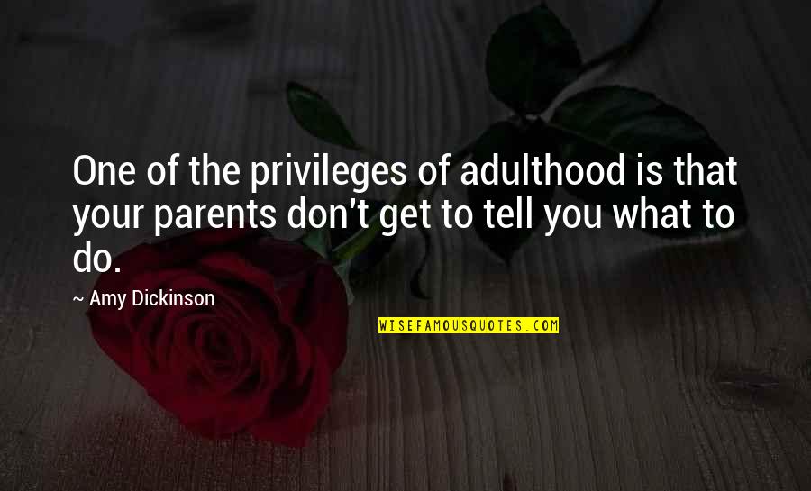 One Parent Quotes By Amy Dickinson: One of the privileges of adulthood is that
