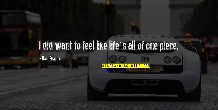 One Piece All Quotes By Dani Shapiro: I did want to feel like life's all One Piece All Quotes By Dani Shapiro: I did want to feel like life's all