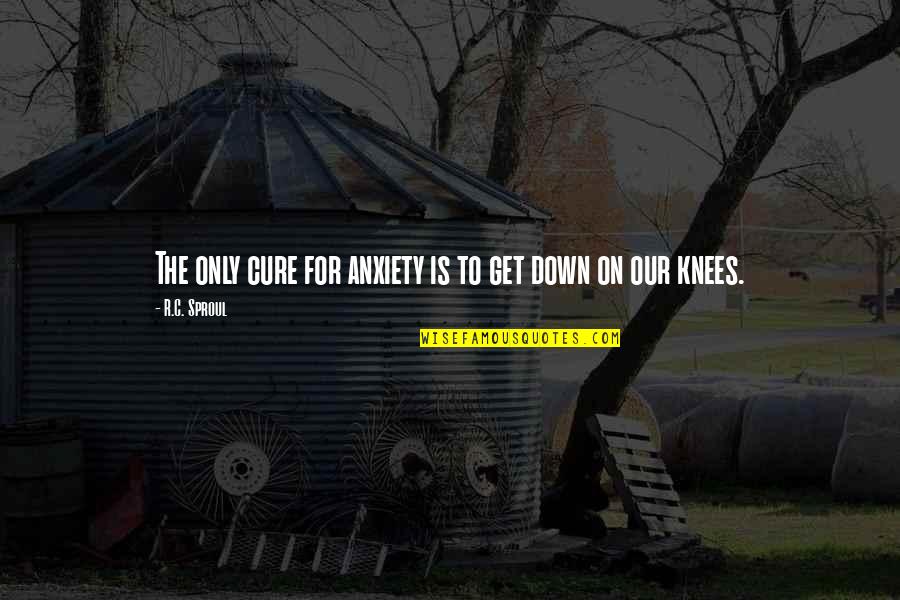One Piece Straw Hat Quotes By R.C. Sproul: The only cure for anxiety is to get One Piece Straw Hat Quotes By R.C. Sproul: The only cure for anxiety is to get