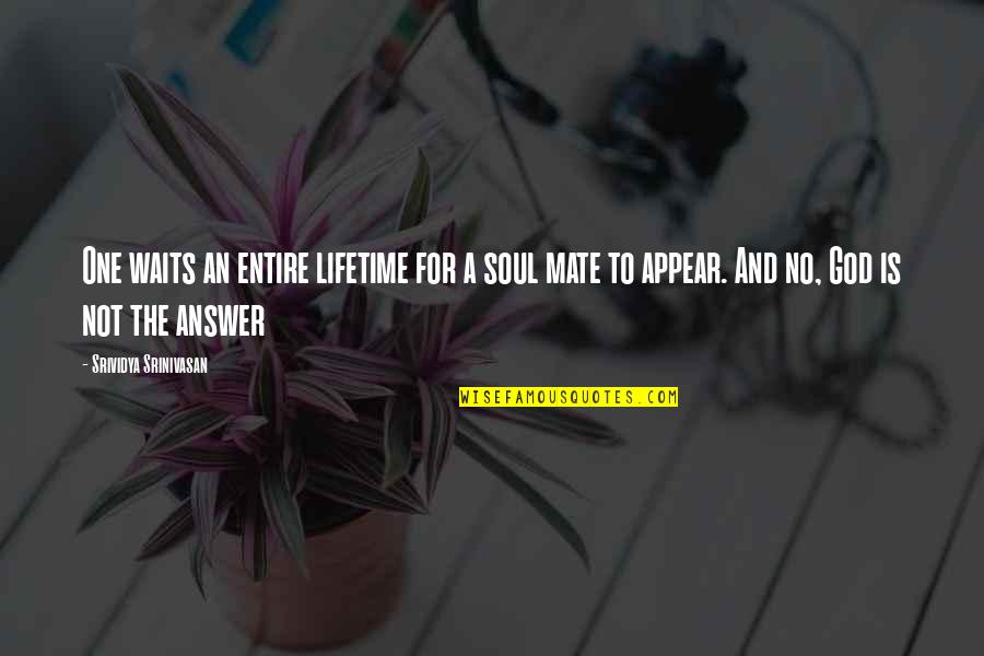 One Quote Quotes By Srividya Srinivasan: One waits an entire lifetime for a soul
