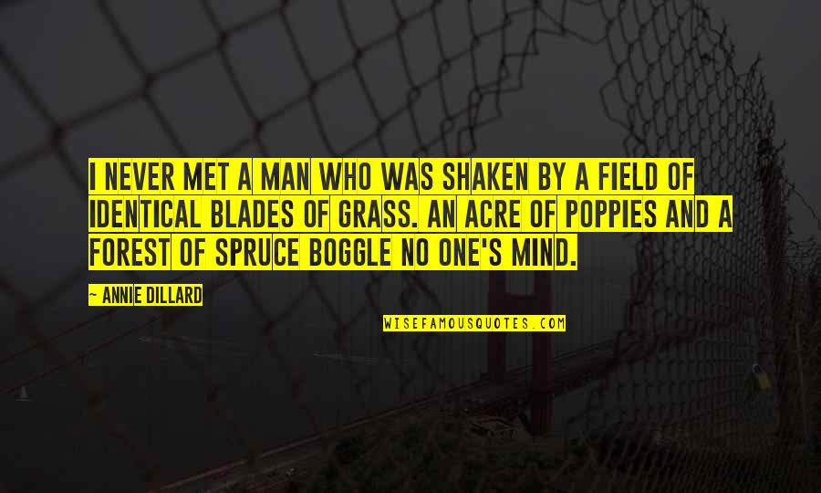 One S Mind Quotes By Annie Dillard: I never met a man who was shaken One S Mind Quotes By Annie Dillard: I never met a man who was shaken