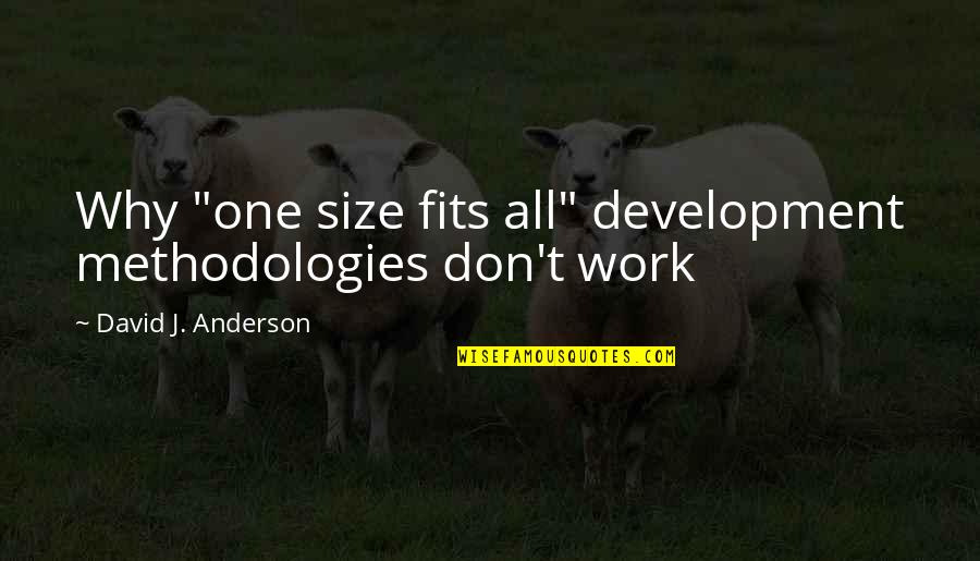One Size Fits All Quotes By David J. Anderson: Why "one size fits all" development methodologies don't