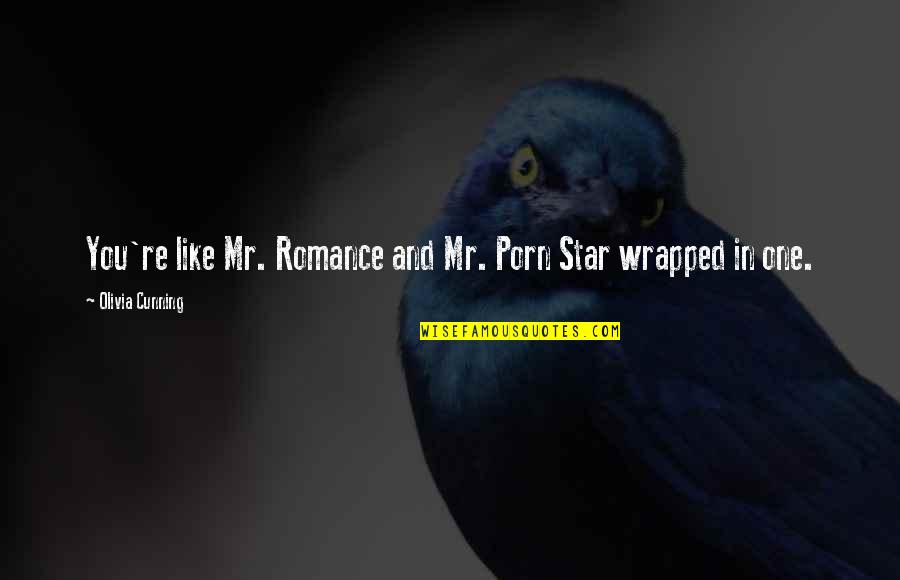 One Star Quotes By Olivia Cunning: You're like Mr. Romance and Mr. Porn Star One Star Quotes By Olivia Cunning: You're like Mr. Romance and Mr. Porn Star