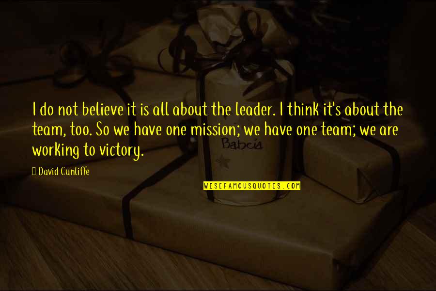 One Team One Mission Quotes By David Cunliffe: I do not believe it is all about One Team One Mission Quotes By David Cunliffe: I do not believe it is all about