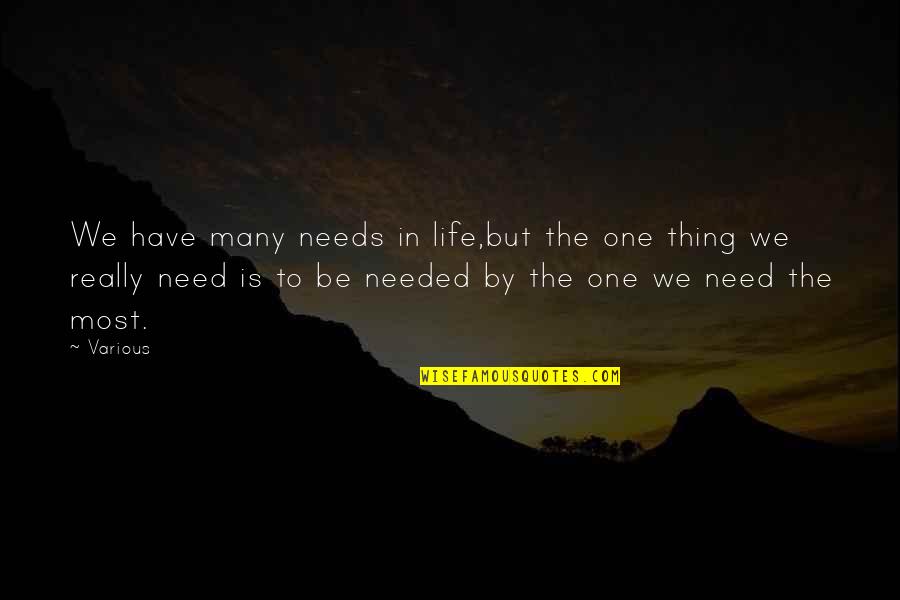 One Thing In Life Quotes By Various: We have many needs in life,but the one