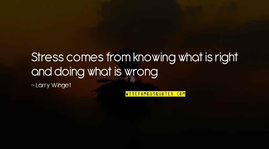 One Time Mistake Quotes By Larry Winget: Stress comes from knowing what is right and