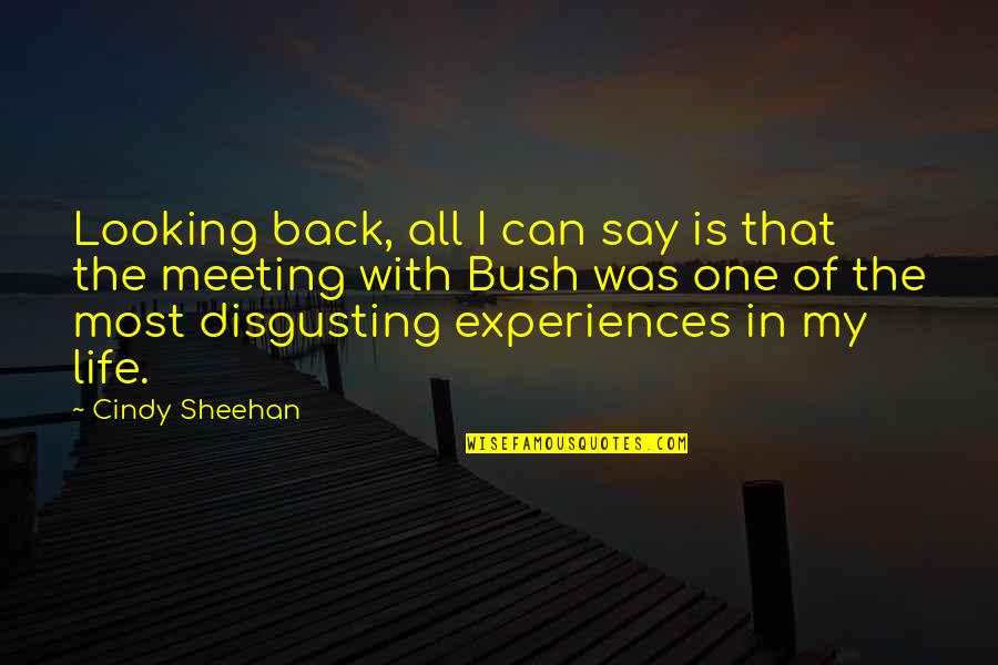 One To One Meeting Quotes By Cindy Sheehan: Looking back, all I can say is that