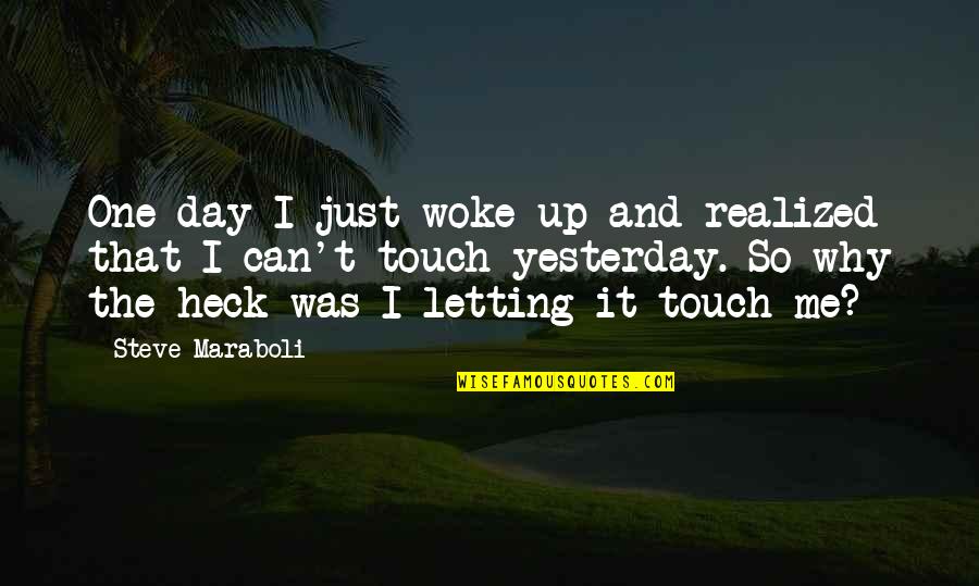 One Touch Quotes By Steve Maraboli: One day I just woke up and realized