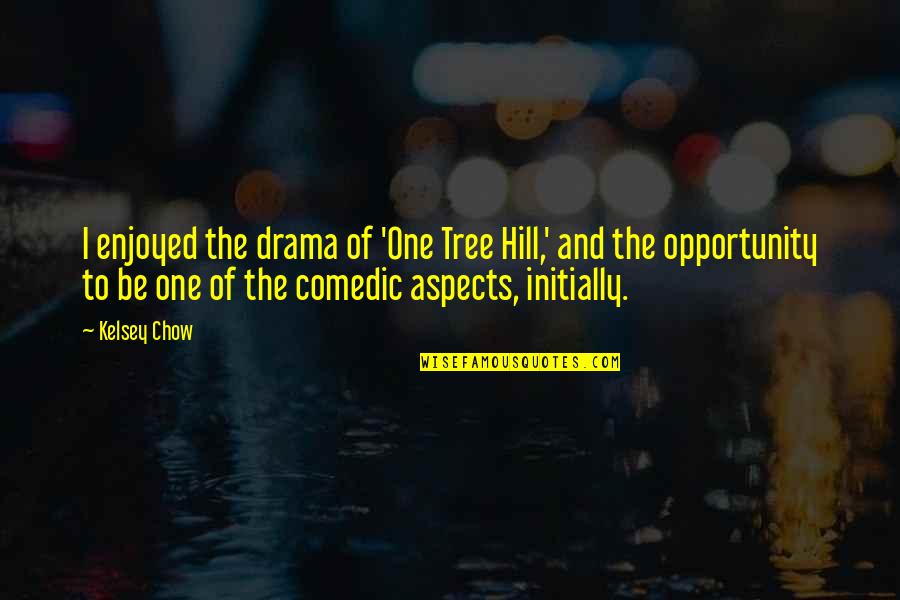 One Tree Hill 9 Quotes By Kelsey Chow: I enjoyed the drama of 'One Tree Hill,'