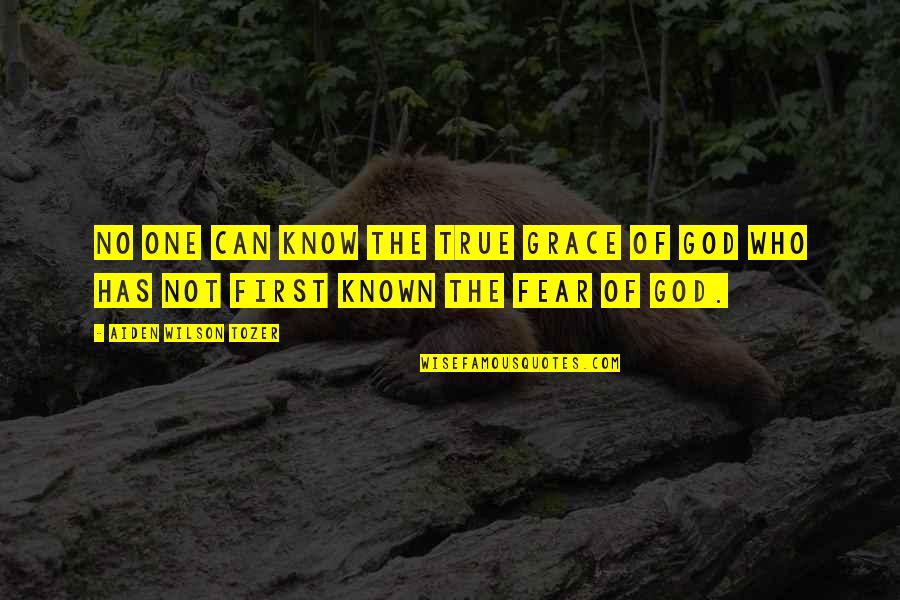 One True God Quotes By Aiden Wilson Tozer: No one can know the true grace of