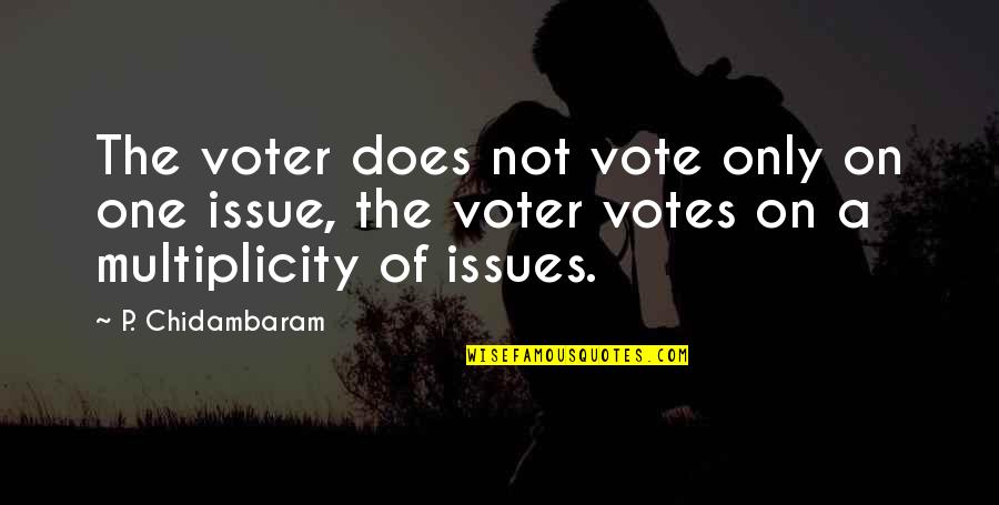 One Vote Quotes By P. Chidambaram: The voter does not vote only on one One Vote Quotes By P. Chidambaram: The voter does not vote only on one