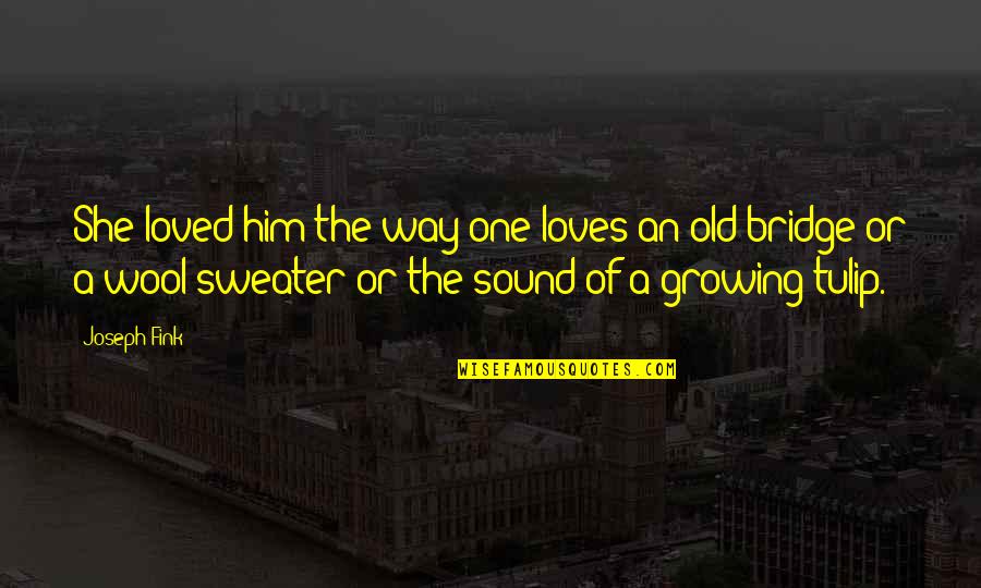 One Way Love Quotes By Joseph Fink: She loved him the way one loves an One Way Love Quotes By Joseph Fink: She loved him the way one loves an