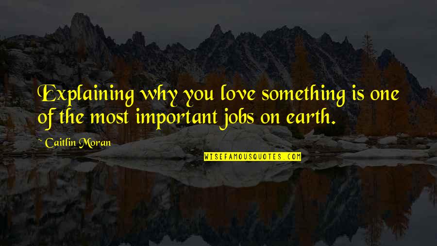 One You Love The Most Quotes By Caitlin Moran: Explaining why you love something is one of