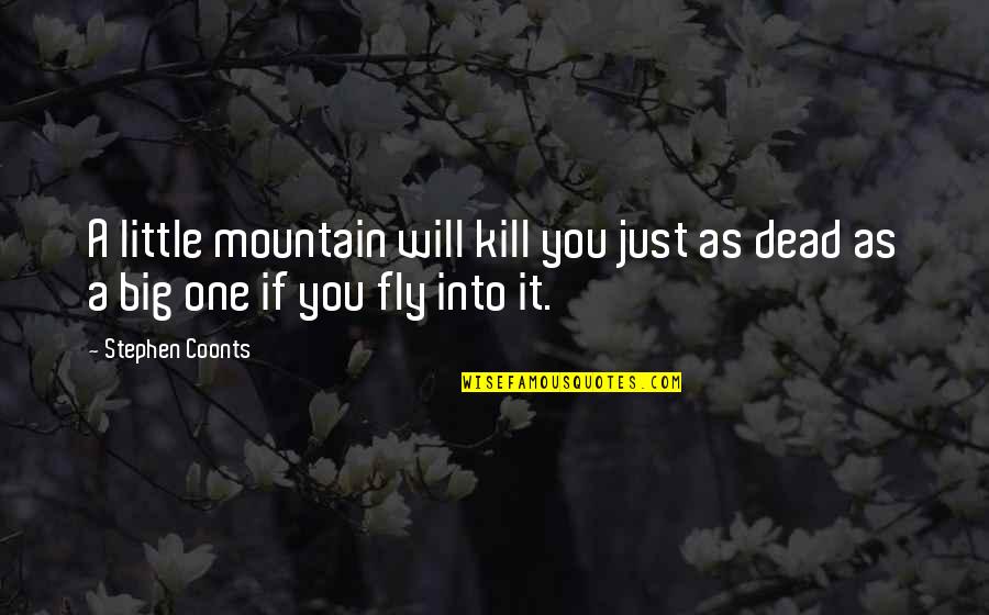 One You Quotes By Stephen Coonts: A little mountain will kill you just as