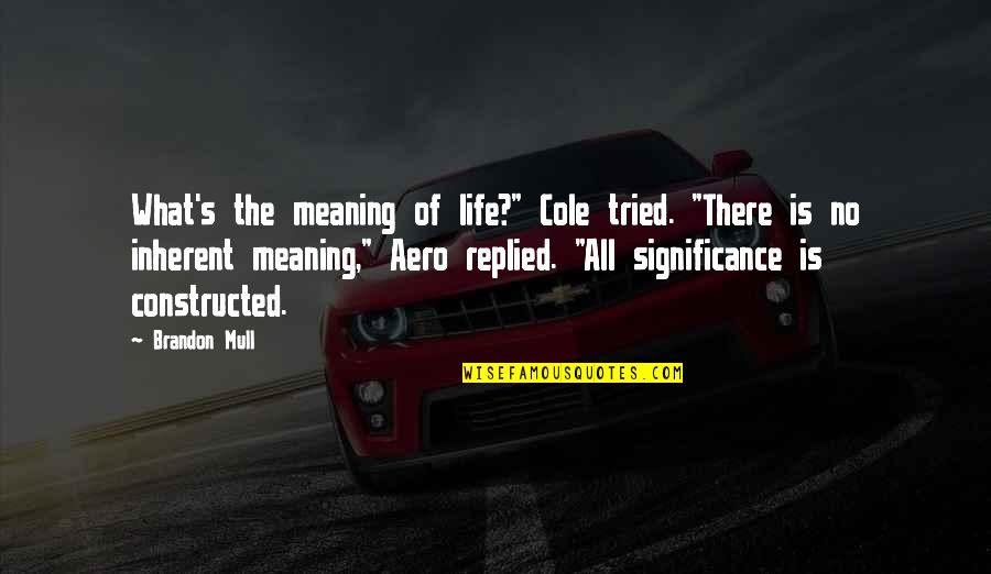 Oneiamillion Quotes By Brandon Mull: What's the meaning of life?" Cole tried. "There