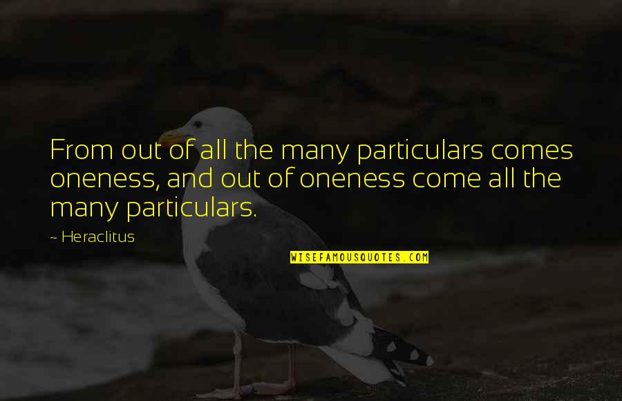 Oneness Quotes By Heraclitus: From out of all the many particulars comes