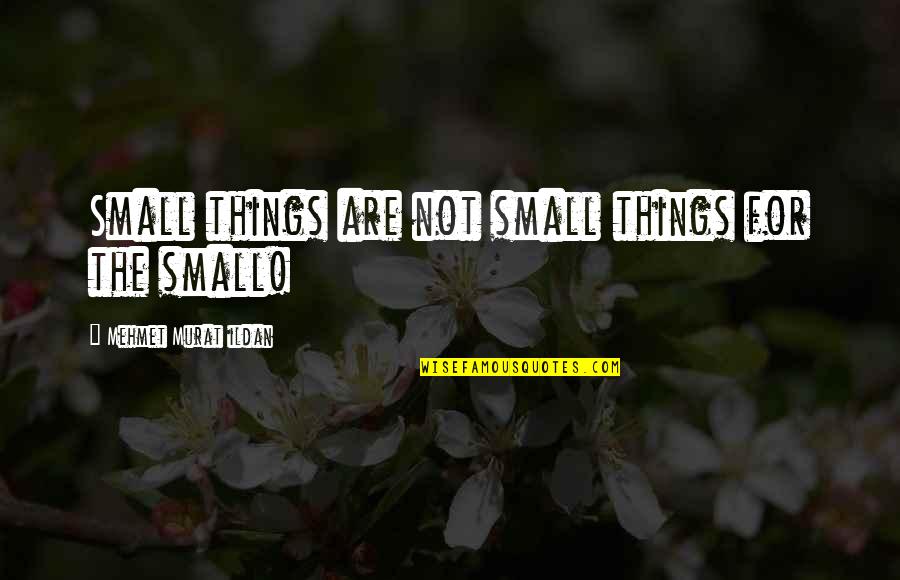 Onenurseatatime Quotes By Mehmet Murat Ildan: Small things are not small things for the