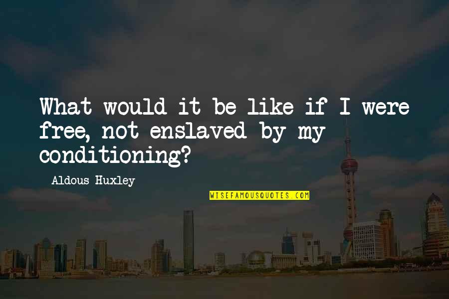 Onereality Quotes By Aldous Huxley: What would it be like if I were