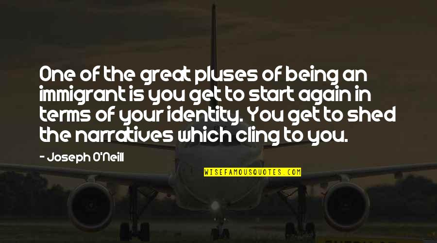 One's Identity Quotes By Joseph O'Neill: One of the great pluses of being an