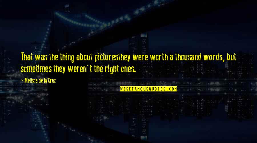 Ones Worth Quotes By Melissa De La Cruz: That was the thing about picturesthey were worth