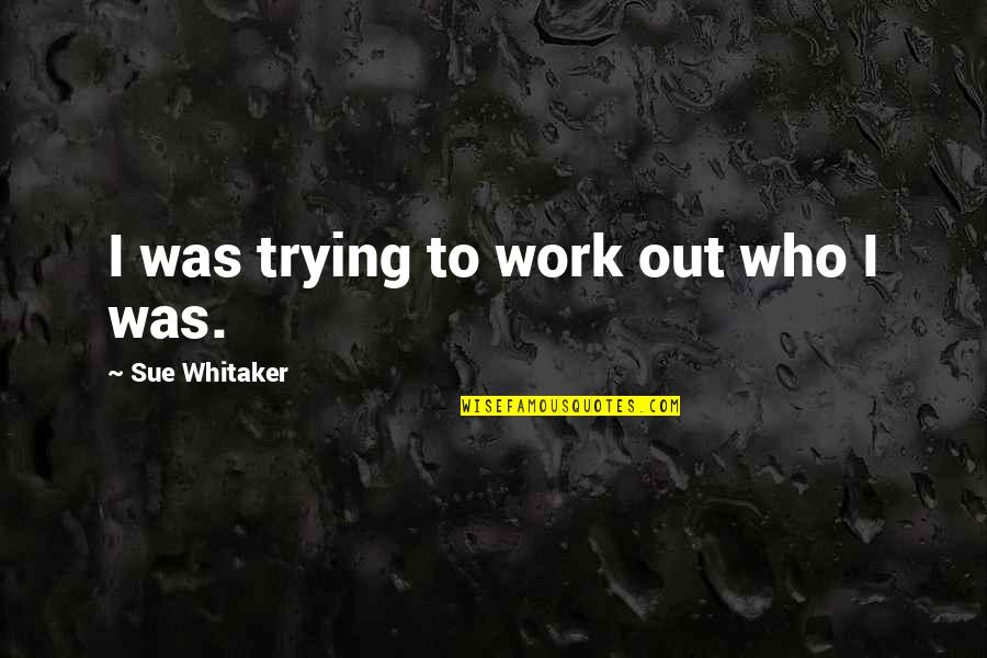 Onestep Quotes By Sue Whitaker: I was trying to work out who I