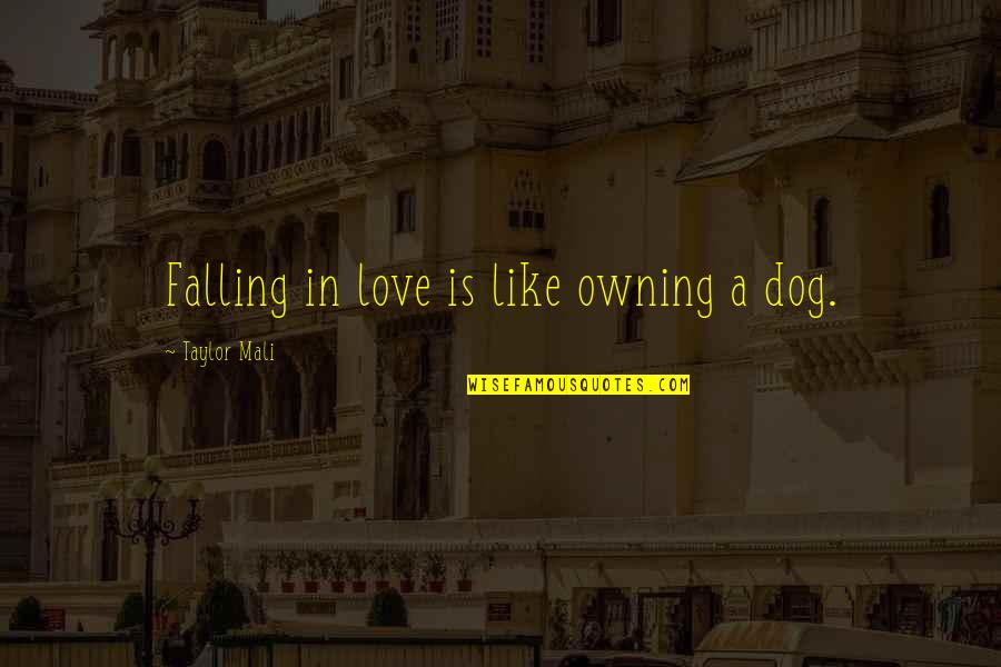 Onetti Brothers Quotes By Taylor Mali: Falling in love is like owning a dog. Onetti Brothers Quotes By Taylor Mali: Falling in love is like owning a dog.
