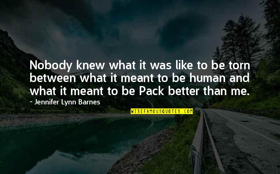 Ongerijmdheid Quotes By Jennifer Lynn Barnes: Nobody knew what it was like to be Ongerijmdheid Quotes By Jennifer Lynn Barnes: Nobody knew what it was like to be