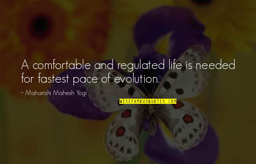 Onlooking Quotes By Maharishi Mahesh Yogi: A comfortable and regulated life is needed for