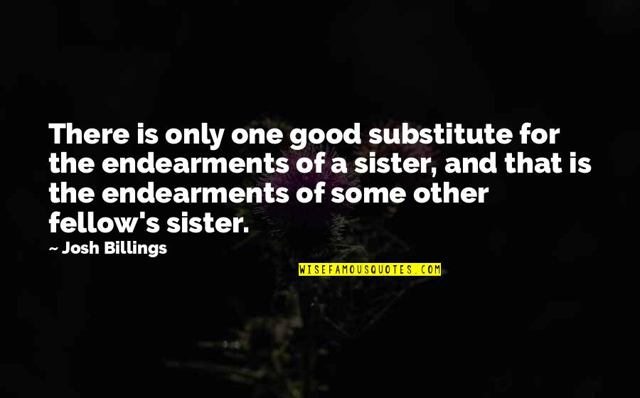 Only A Sister Quotes By Josh Billings: There is only one good substitute for the