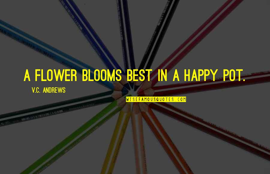 Only Flower That Blooms Quotes By V.C. Andrews: A flower blooms best in a happy pot.
