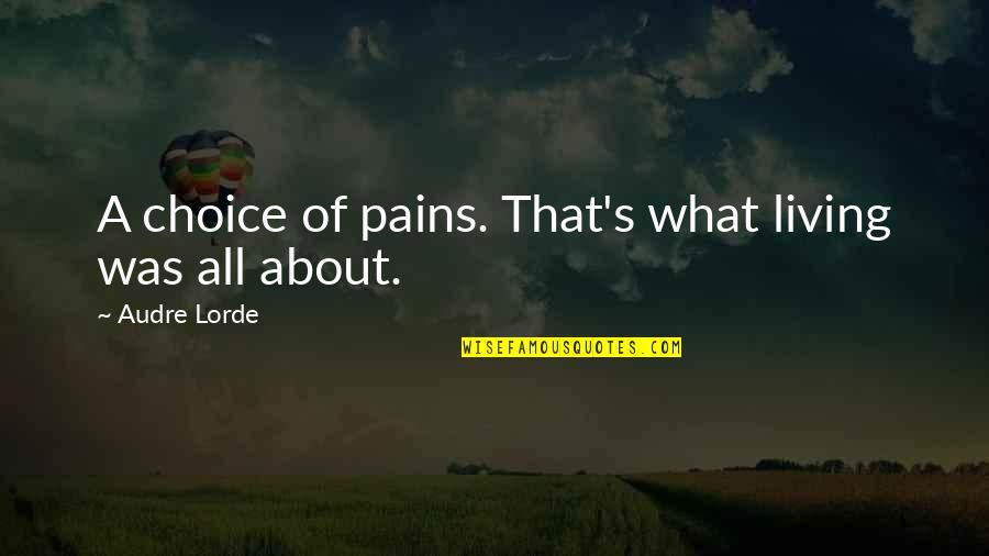 Only Fools Heroes And Villains Quotes By Audre Lorde: A choice of pains. That's what living was