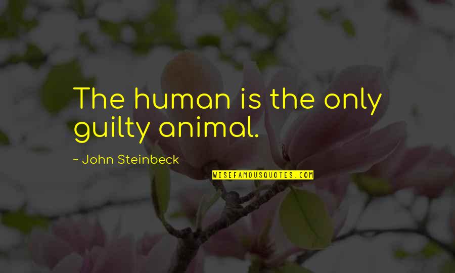 Only Human Quotes By John Steinbeck: The human is the only guilty animal.