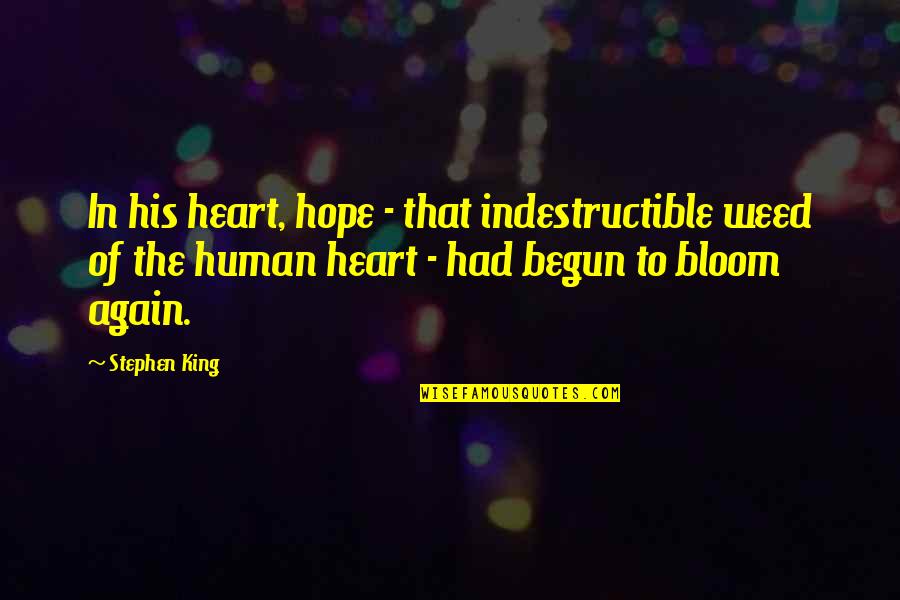 Only Just Begun Quotes By Stephen King: In his heart, hope - that indestructible weed