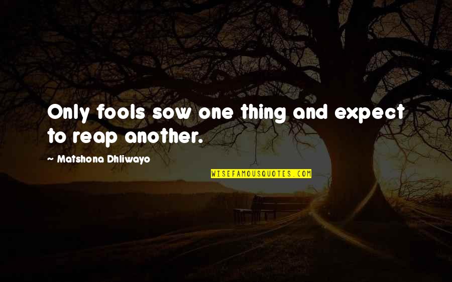 Only One Quotes And Quotes By Matshona Dhliwayo: Only fools sow one thing and expect to