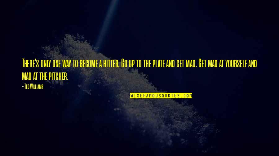 Only One Way To Go Quotes By Ted Williams: There's only one way to become a hitter.