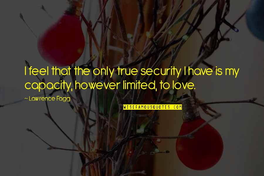 Only True Love Quotes By Lawrence Fagg: I feel that the only true security I