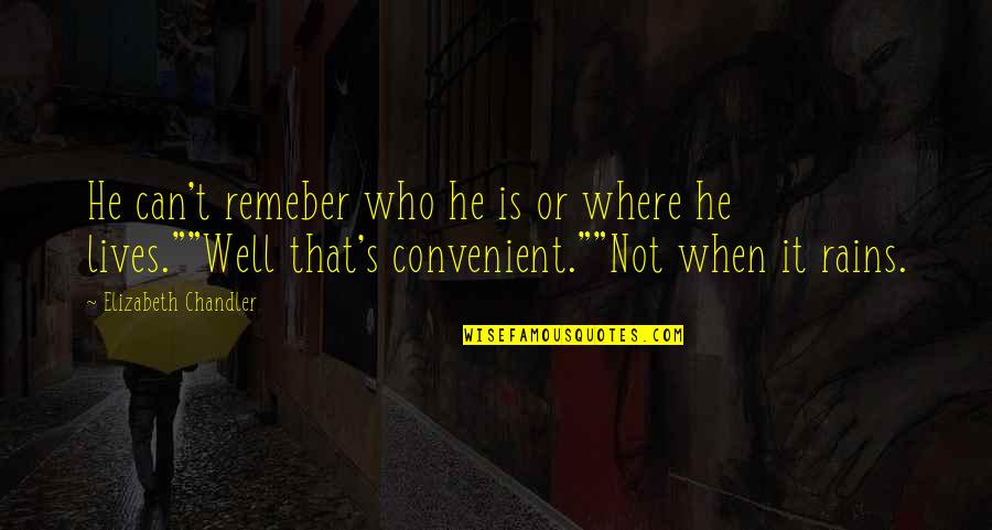 Only When It's Convenient For You Quotes By Elizabeth Chandler: He can't remeber who he is or where